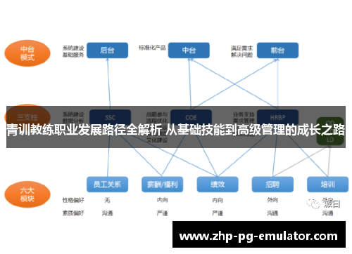 青训教练职业发展路径全解析 从基础技能到高级管理的成长之路