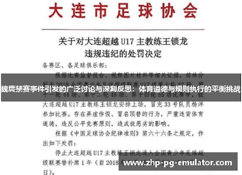 魏震禁赛事件引发的广泛讨论与深刻反思：体育道德与规则执行的平衡挑战